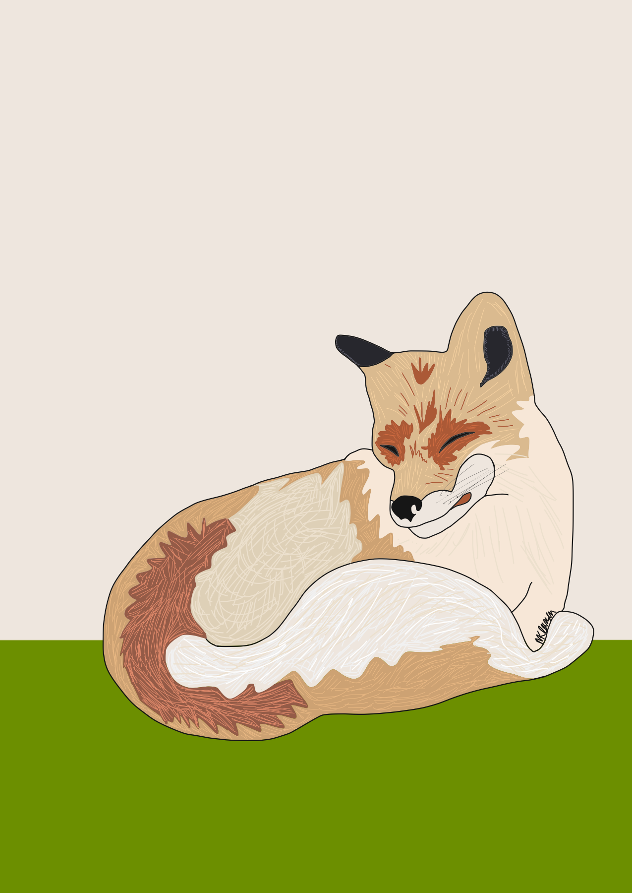 PHOTO ILLUSTRATION 8x10 Sleeping fox